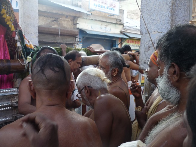 Srirangam Masi Theppotsavam  Morning Purappadu Day 42014 -17