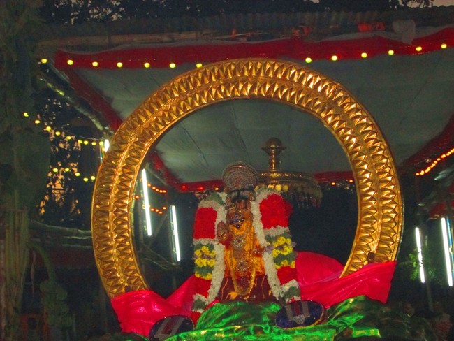 Srirangam Masi Theppotsavam Panthakaachi 2014 -12