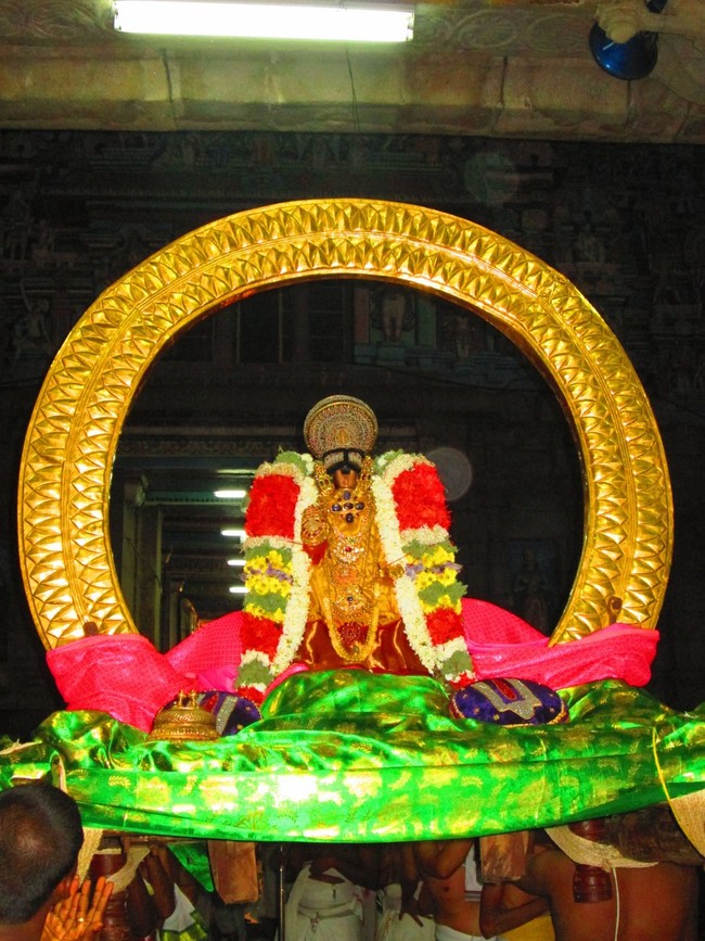 Srirangam Masi Theppotsavam Panthakaachi 2014 -81