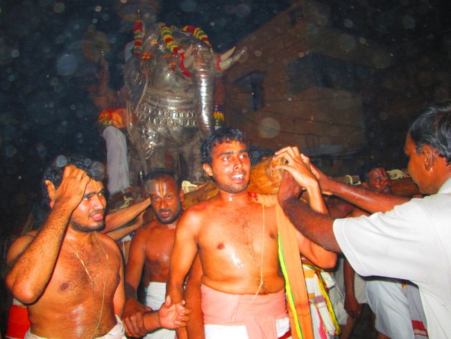 Srirangam Masi Theppotsavam Yanai Vahanam 2014 -11