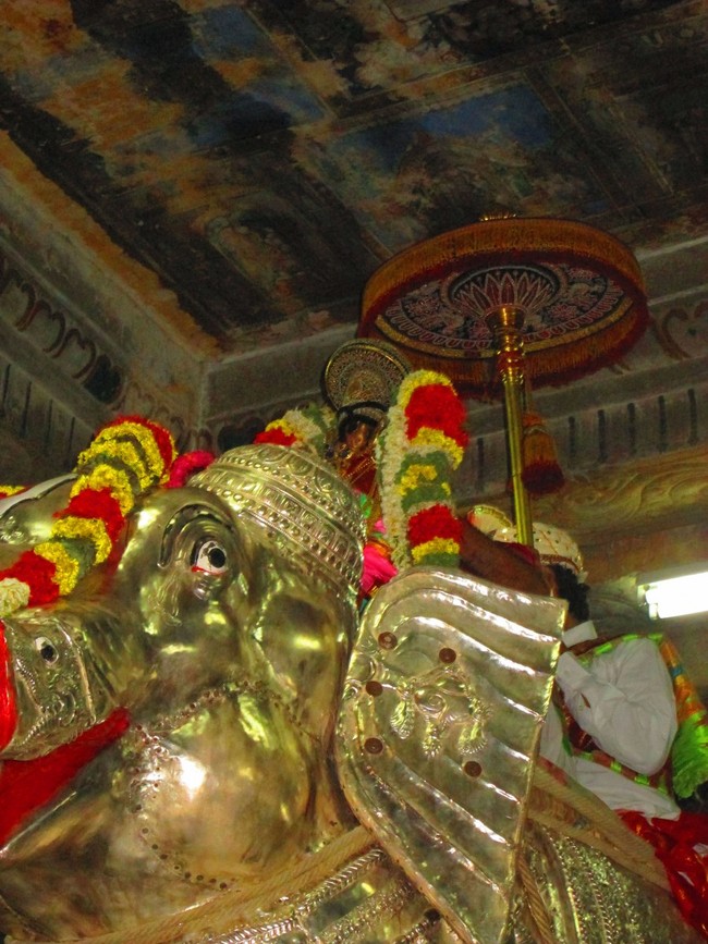 Srirangam Masi Theppotsavam Yanai Vahanam 2014 -16