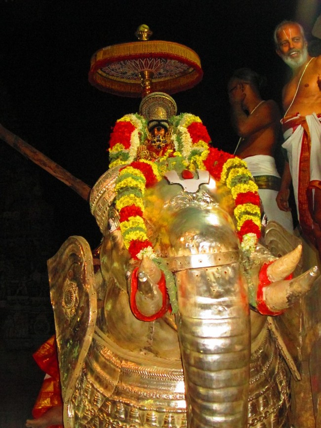 Srirangam Masi Theppotsavam Yanai Vahanam 2014 -19