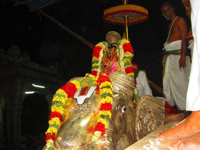 Srirangam Masi Theppotsavam Yanai Vahanam 2014 -21