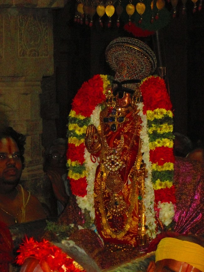 Srirangam Masi Theppotsavam Yanai Vahanam 2014 -28