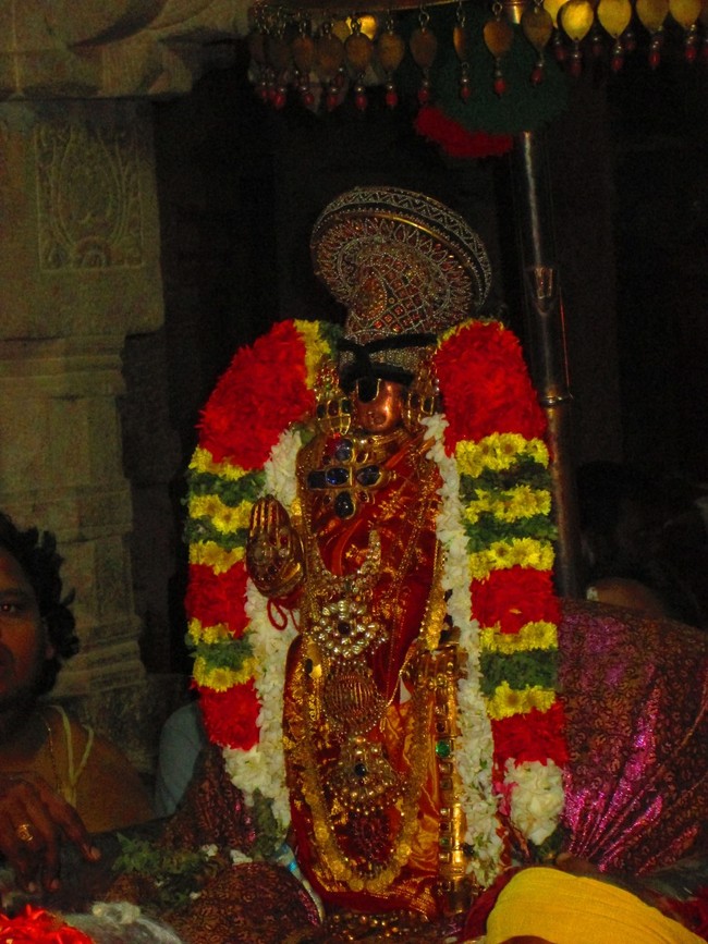Srirangam Masi Theppotsavam Yanai Vahanam 2014 -29