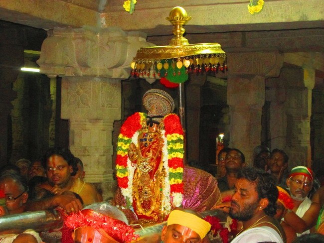 Srirangam Masi Theppotsavam Yanai Vahanam 2014 -30
