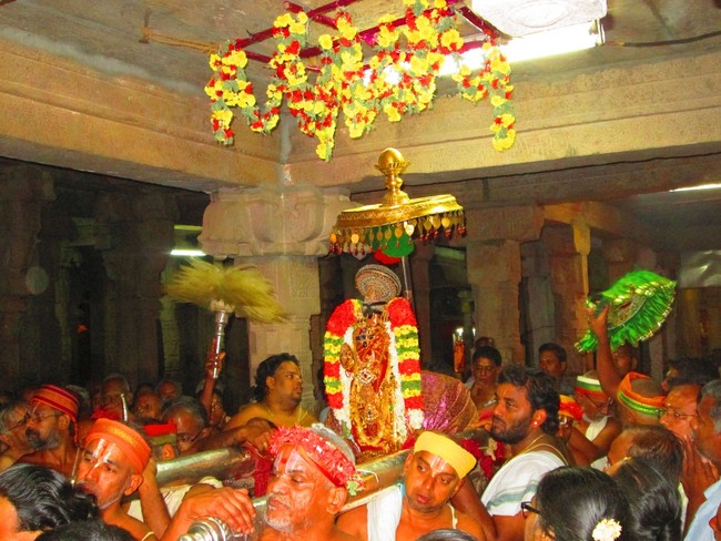 Srirangam Masi Theppotsavam Yanai Vahanam 2014 -31