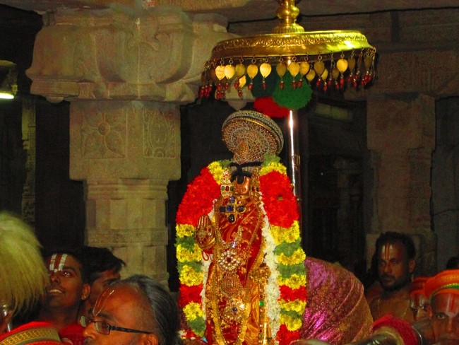 Srirangam Masi Theppotsavam Yanai Vahanam 2014 -33