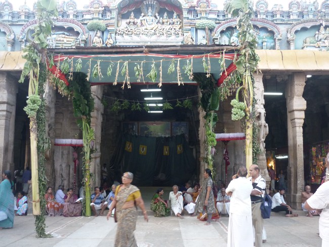Srirangam Masi Theppotsavam day 2 Hanumantha Vahana 2014 -1