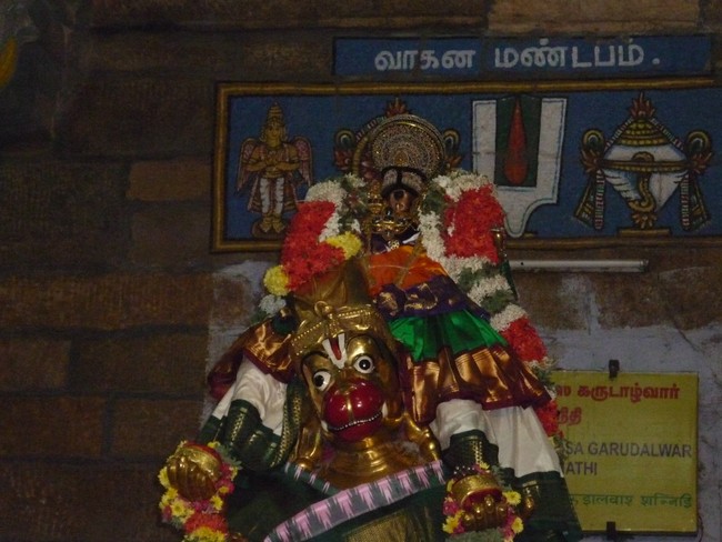 Srirangam Masi Theppotsavam day 2 Hanumantha Vahana 2014 -5