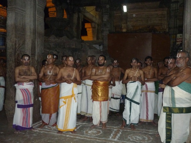 Srirangam Masi Theppotsavam day 2 Hanumantha Vahana 2014 -7