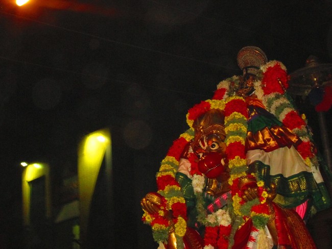 Srirangam Masi Theppotsavam day 2 Hanumantha Vahanam 2014 -19