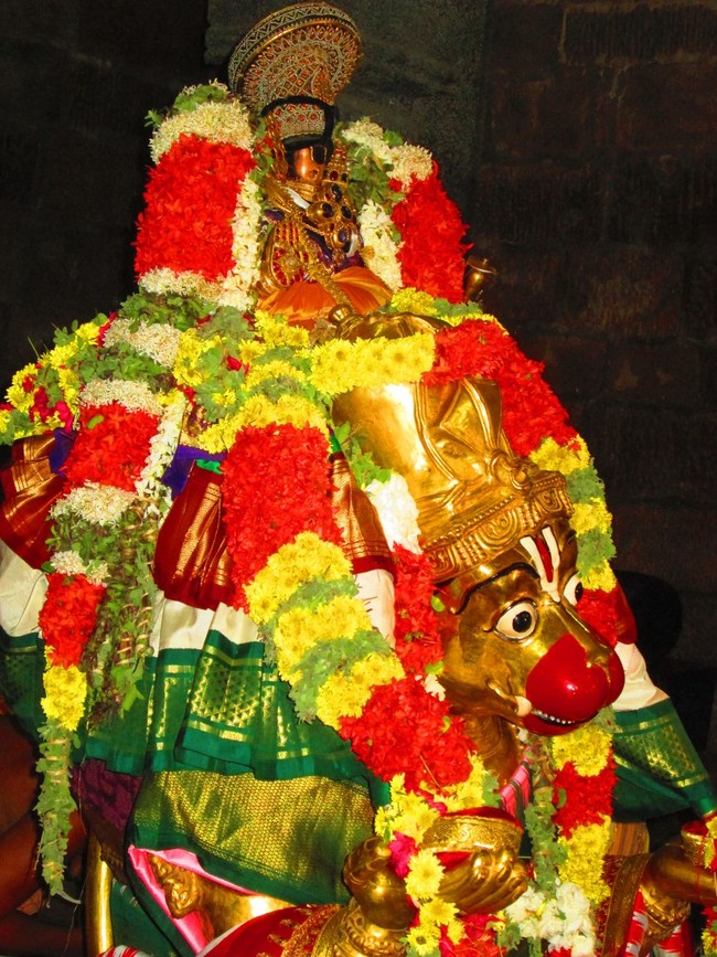 Srirangam Masi Theppotsavam day 2 Hanumantha Vahanam 2014 -28