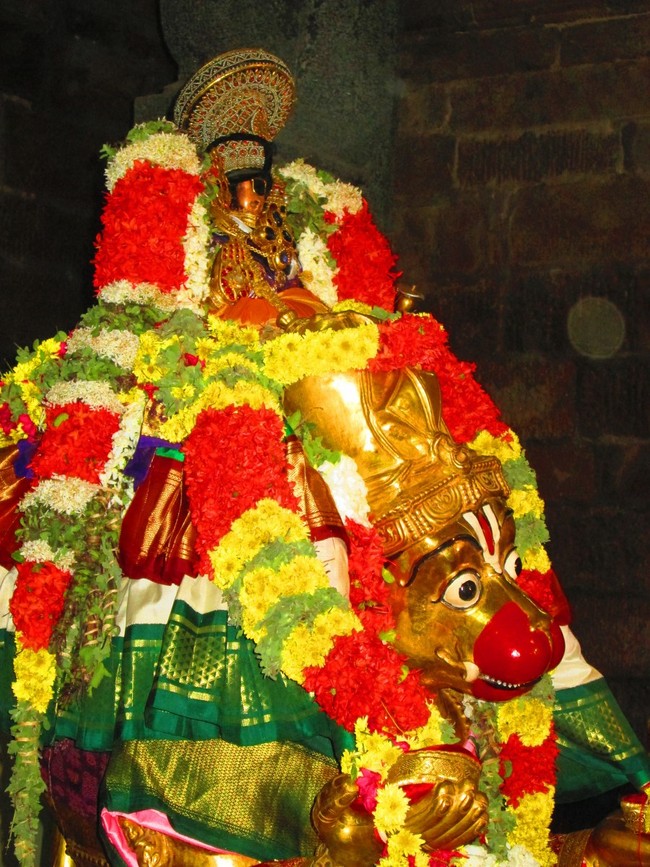 Srirangam Masi Theppotsavam day 2 Hanumantha Vahanam 2014 -29
