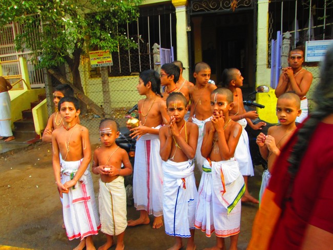 Srirangam Masi Theppotsavam day 2 morning purappadu 2014 -15