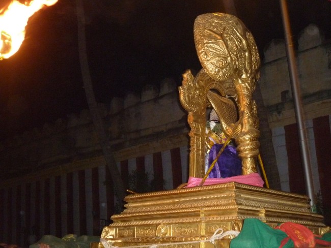 Srirangam Masi Theppotsavam  karpaga Vriksham  2014 -4