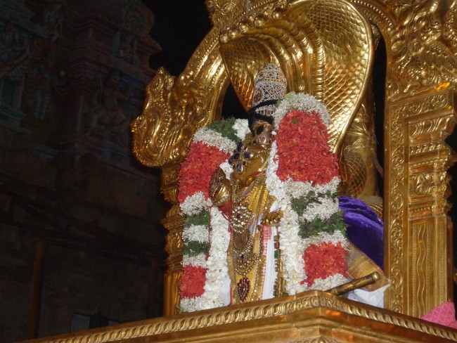 Srirangam Masi Theppotsavam  karpaga Vriksham  2014 -7