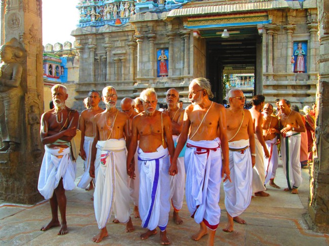 Srirangam Masi Theppotsavam morning  day 5 2014--25