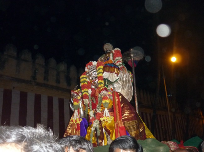 Srirangam Masi Velli Garuda Sevai 6 2014--0001