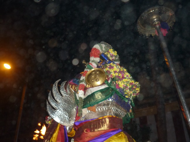 Srirangam Masi Velli Garuda Sevai 6 2014--0002