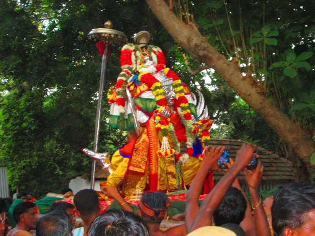 Srirangam Masi Velli Garuda Sevai 6 2014--01