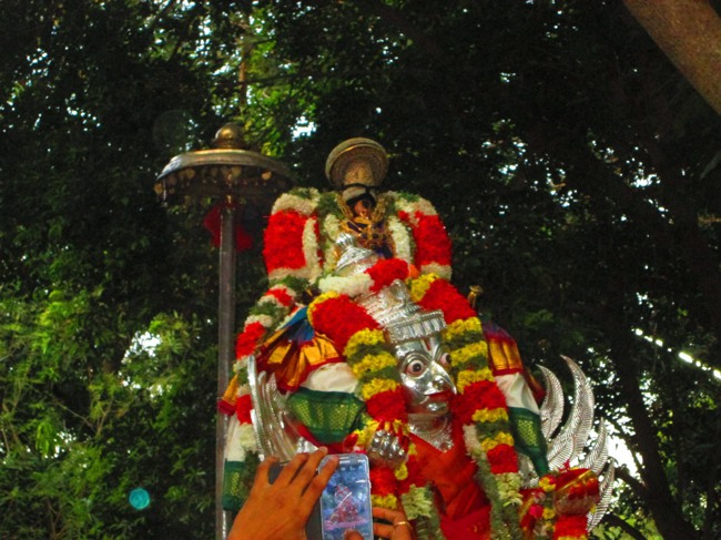 Srirangam Masi Velli Garuda Sevai 6 2014--03