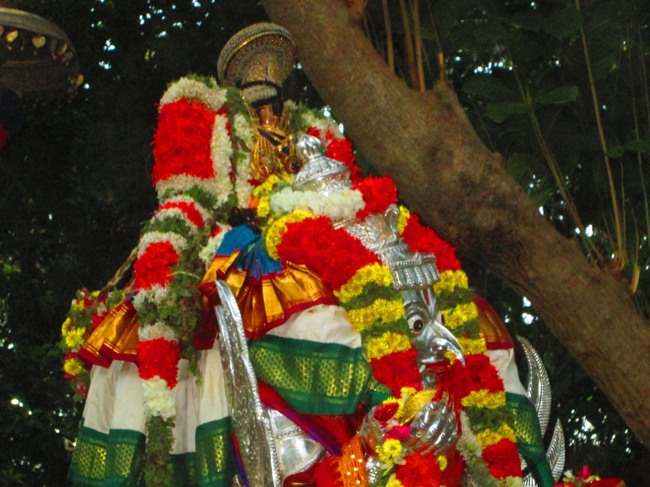 Srirangam Masi Velli Garuda Sevai 6 2014--04