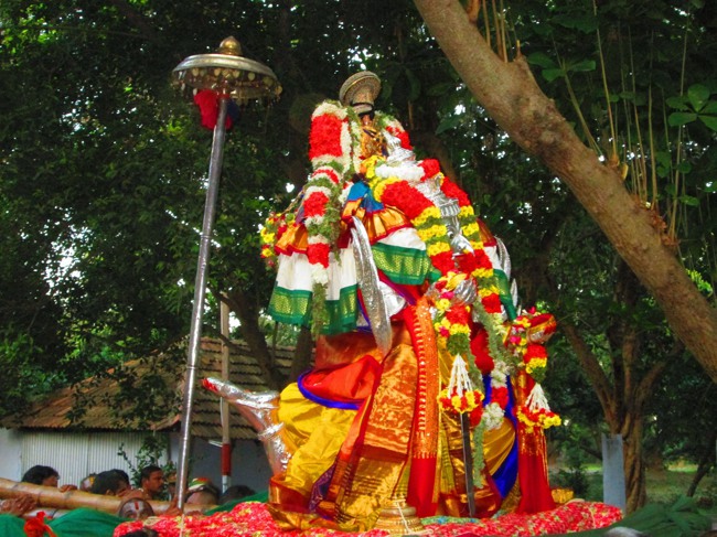 Srirangam Masi Velli Garuda Sevai 6 2014--05
