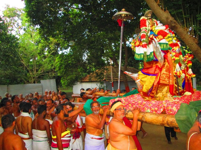 Srirangam Masi Velli Garuda Sevai 6 2014--06