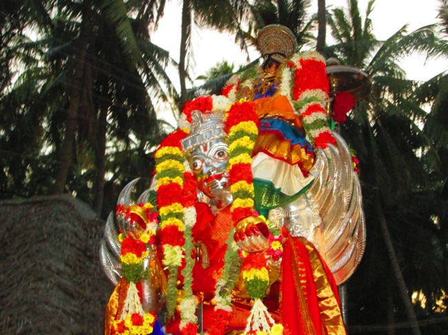 Srirangam Masi Velli Garuda Sevai 6 2014--13