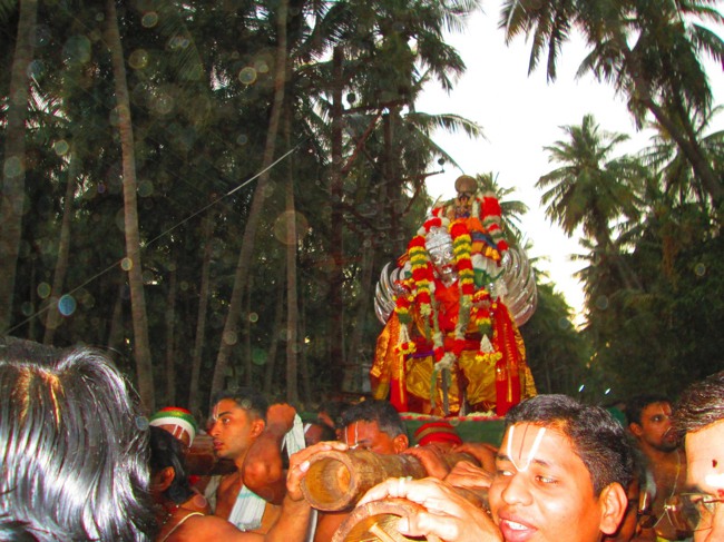 Srirangam Masi Velli Garuda Sevai 6 2014--14