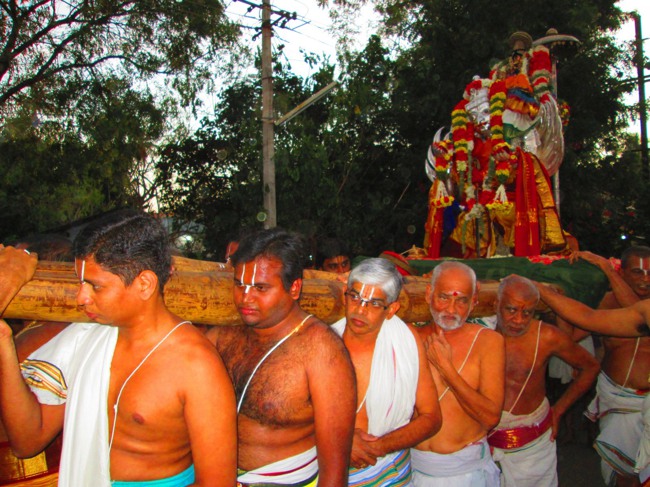Srirangam Masi Velli Garuda Sevai 6 2014--15