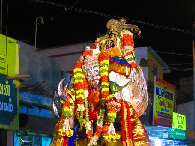 Srirangam Masi Velli Garuda Sevai 6 2014--22