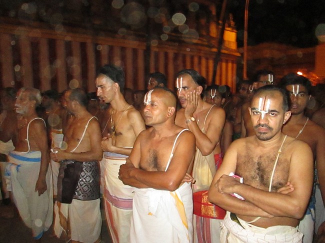 Srirangam Masi Velli Garuda Sevai 6 2014--31