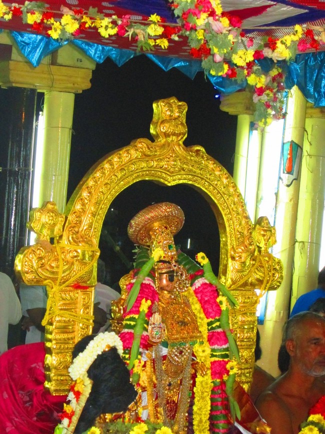 Srirangam Namperumal Masi Theppotsavam Thirupalliyodam 2014 -11