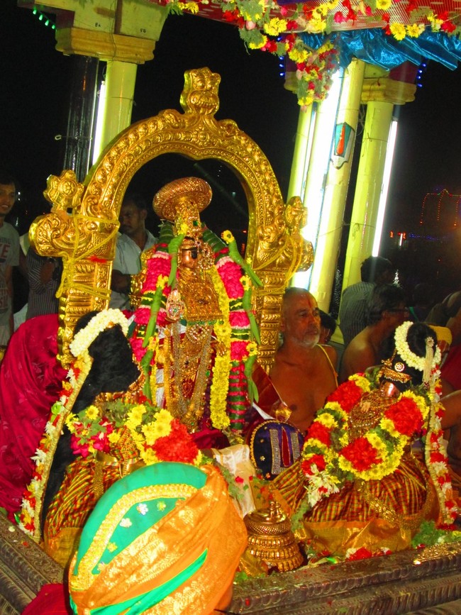 Srirangam Namperumal Masi Theppotsavam Thirupalliyodam 2014 -17