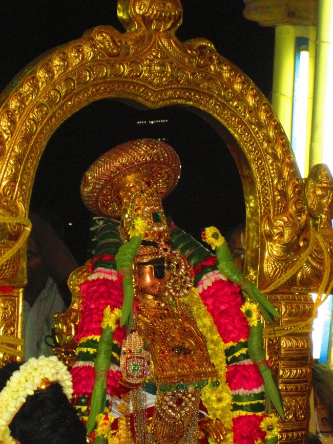 Srirangam Namperumal Masi Theppotsavam Thirupalliyodam 2014 -18