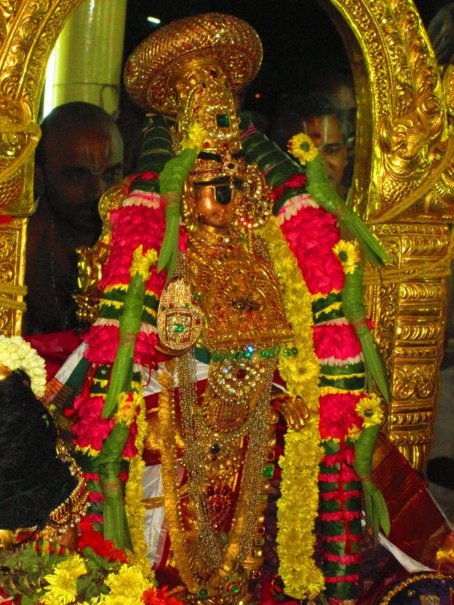 Srirangam Namperumal Masi Theppotsavam Thirupalliyodam 2014 -24