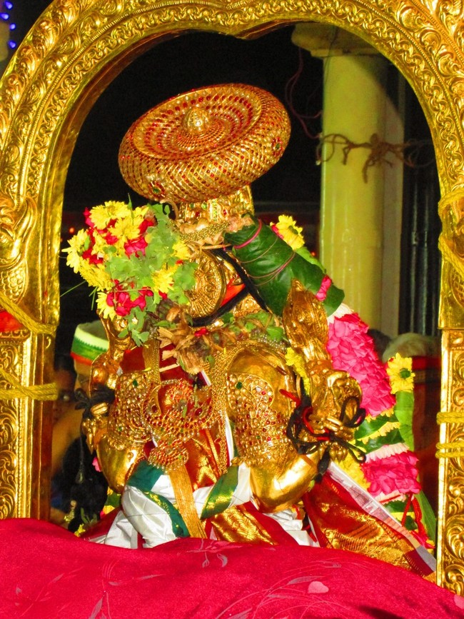 Srirangam Namperumal Masi Theppotsavam Thirupalliyodam 2014 -27