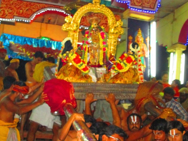 Srirangam Namperumal Masi Theppotsavam Thirupalliyodam 2014 -58