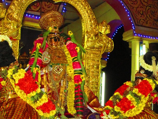 Srirangam Namperumal Masi Theppotsavam Thirupalliyodam 2014 -59