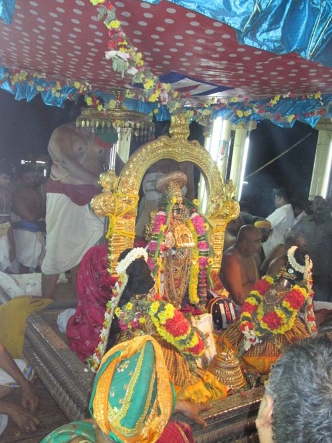 Srirangam Namperumal Masi Theppotsavam Thirupalliyodam 2014 -72