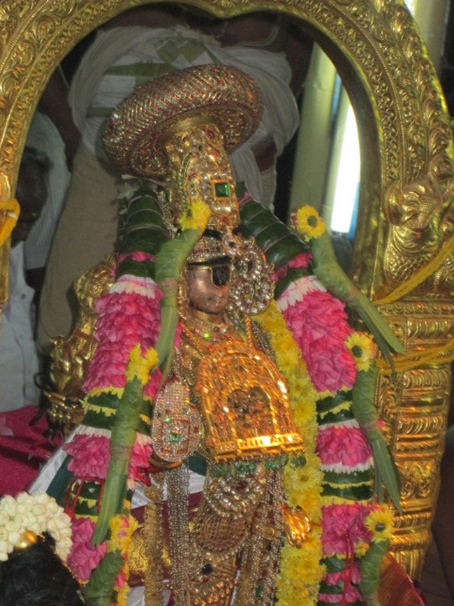 Srirangam Namperumal Masi Theppotsavam Thirupalliyodam 2014 -74