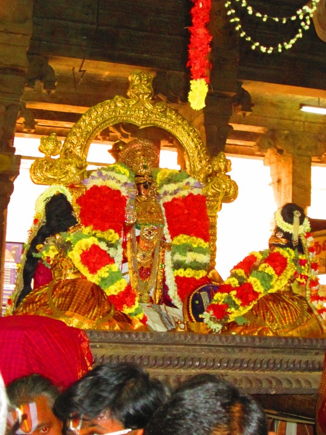 Srirangam Namperumal Masi theppotsavam Thirupalliyodam 2014 -03