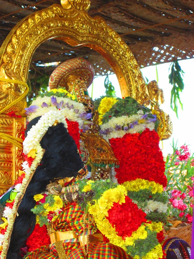 Srirangam Namperumal Masi theppotsavam- Thirupalliyodam 2014 -04
