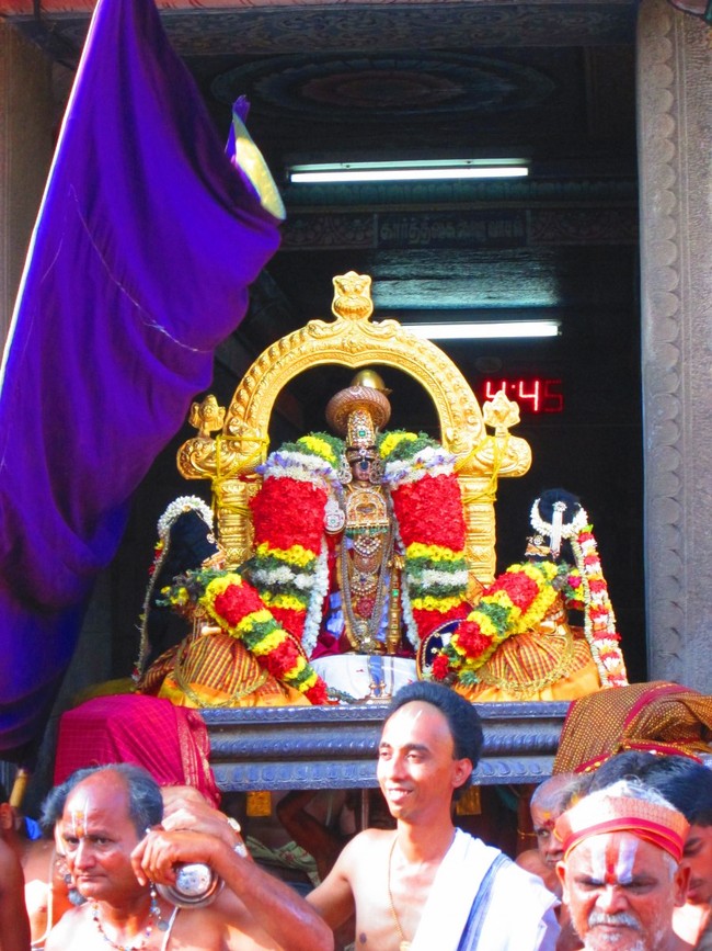 Srirangam Namperumal Masi theppotsavam Thirupalliyodam 2014 -06