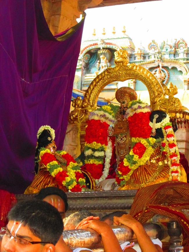 Srirangam Namperumal Masi theppotsavam Thirupalliyodam 2014 -07