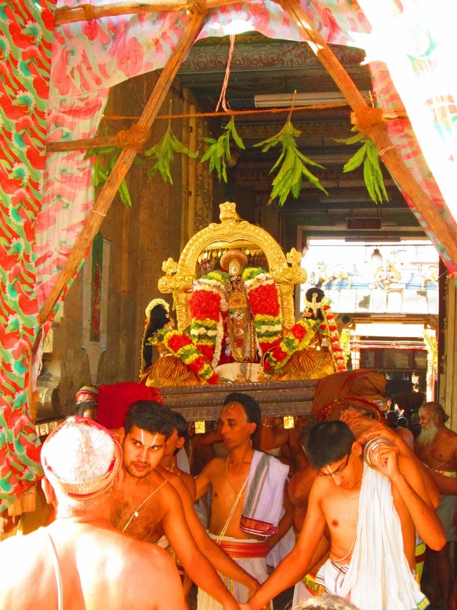 Srirangam Namperumal Masi theppotsavam Thirupalliyodam 2014 -08