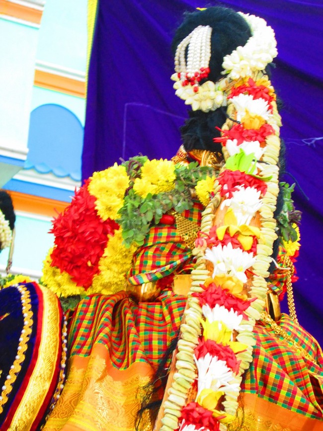 Srirangam Namperumal Masi theppotsavam- Thirupalliyodam 2014 -08