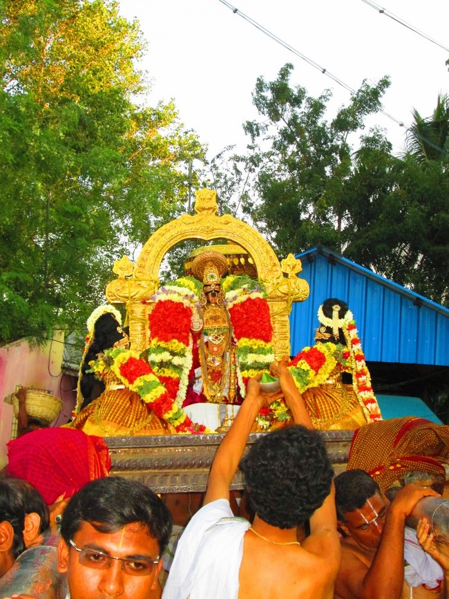 Srirangam Namperumal Masi theppotsavam- Thirupalliyodam 2014 -09
